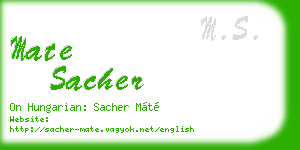 mate sacher business card