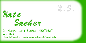 mate sacher business card